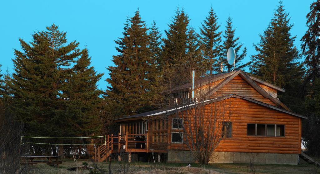 Bear Den Vacation Home Anchor Point Habitación foto